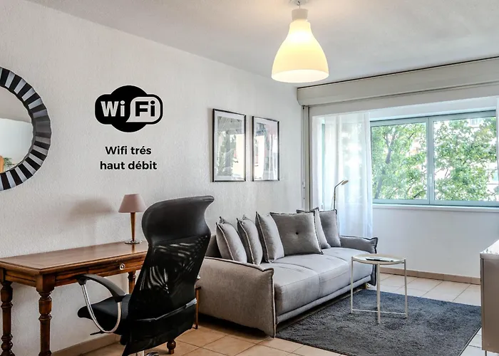 Apartment Confortable T2 I Annemasse
